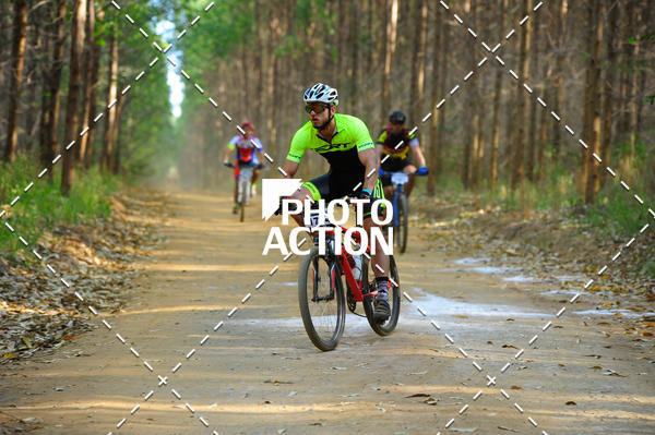 Buy your photos of the event16 Edio Maratona 100Km Canaviais on Fotop