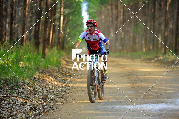Buy your photos of the event16 Edio Maratona 100Km Canaviais on Fotop