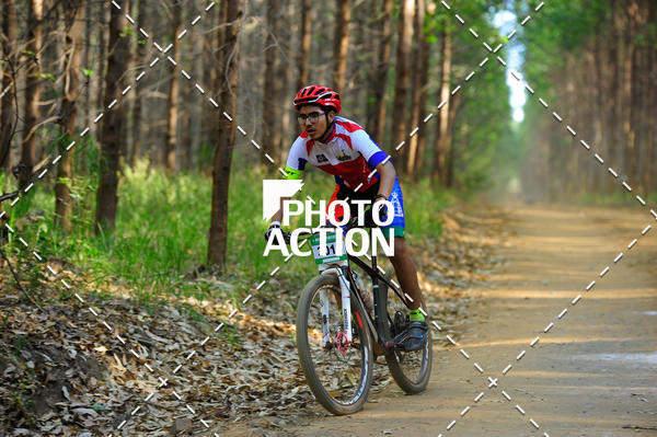 Buy your photos of the event16 Edio Maratona 100Km Canaviais on Fotop