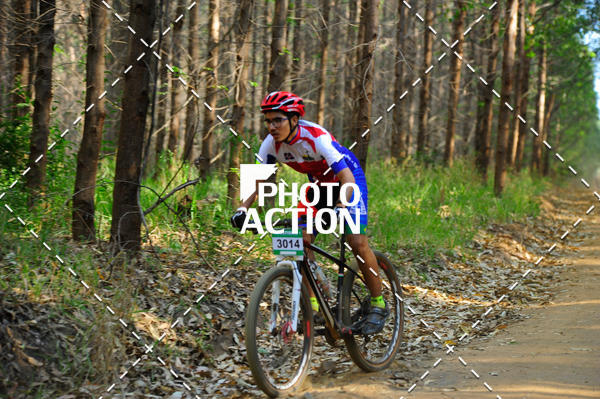 Buy your photos of the event16 Edio Maratona 100Km Canaviais on Fotop