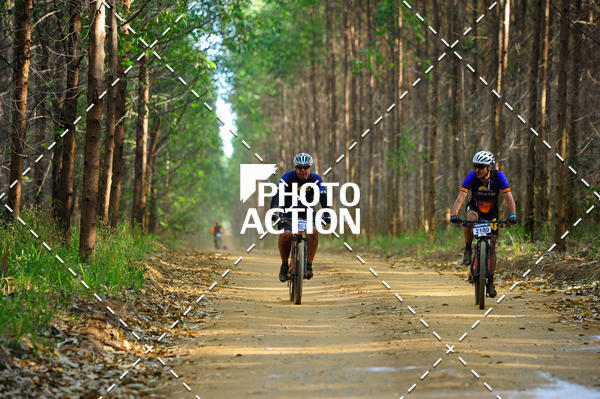 Buy your photos of the event16 Edio Maratona 100Km Canaviais on Fotop
