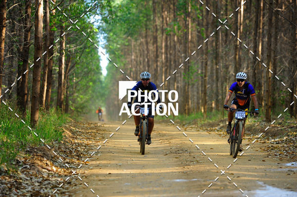 Buy your photos of the event16 Edio Maratona 100Km Canaviais on Fotop