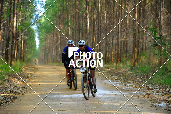 Buy your photos of the event16 Edio Maratona 100Km Canaviais on Fotop