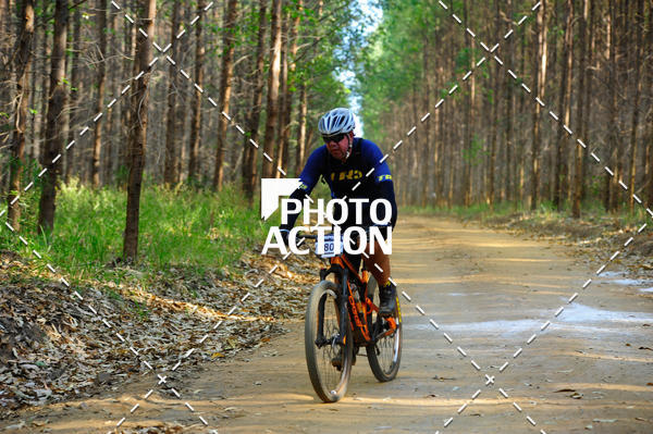 Buy your photos of the event16 Edio Maratona 100Km Canaviais on Fotop