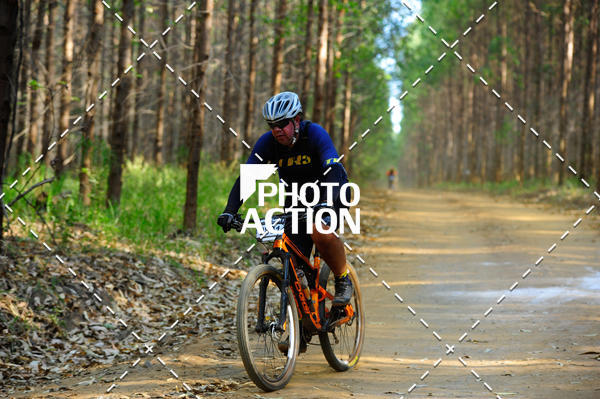 Buy your photos of the event16 Edio Maratona 100Km Canaviais on Fotop
