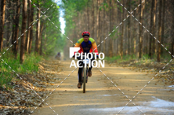 Buy your photos of the event16 Edio Maratona 100Km Canaviais on Fotop
