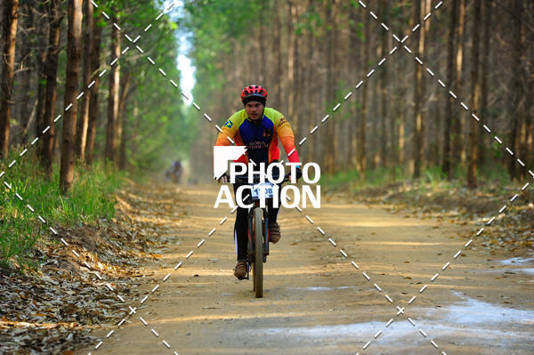 Buy your photos of the event16 Edio Maratona 100Km Canaviais on Fotop