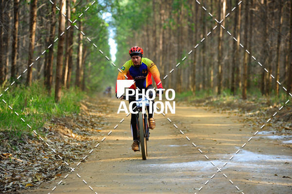 Buy your photos of the event16 Edio Maratona 100Km Canaviais on Fotop