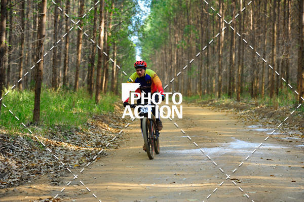 Buy your photos of the event16 Edio Maratona 100Km Canaviais on Fotop