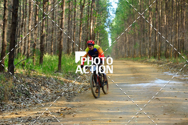 Buy your photos of the event16 Edio Maratona 100Km Canaviais on Fotop
