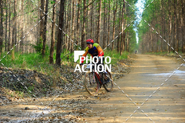 Buy your photos of the event16 Edio Maratona 100Km Canaviais on Fotop