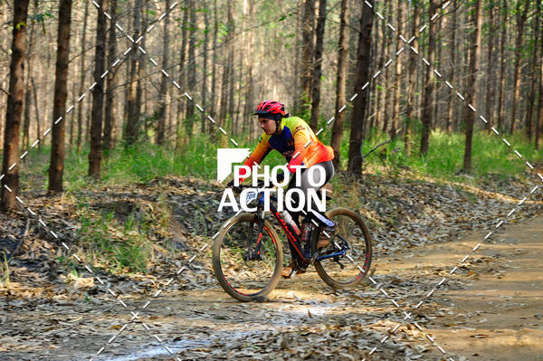 Buy your photos of the event16 Edio Maratona 100Km Canaviais on Fotop