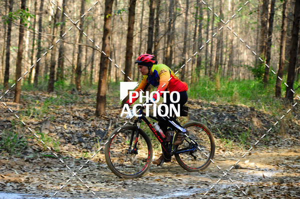 Buy your photos of the event16 Edio Maratona 100Km Canaviais on Fotop