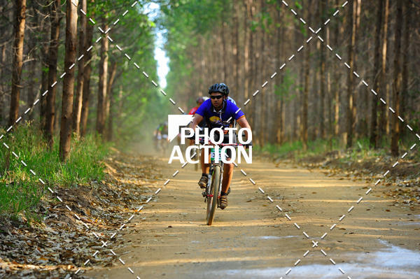 Buy your photos of the event16 Edio Maratona 100Km Canaviais on Fotop