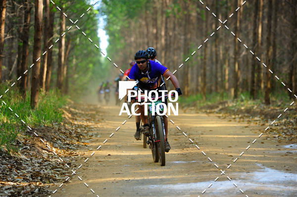 Buy your photos of the event16 Edio Maratona 100Km Canaviais on Fotop