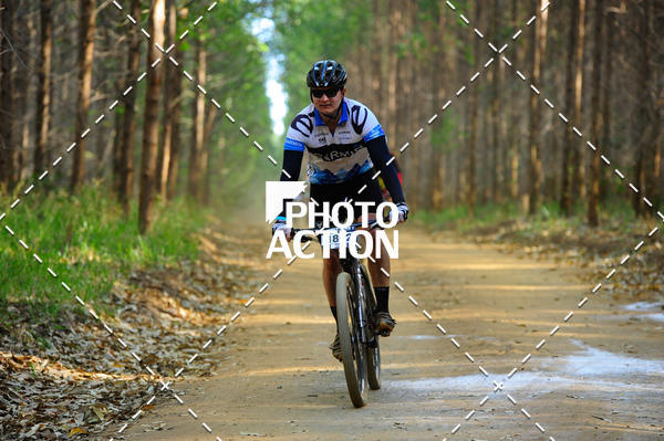 Buy your photos of the event16 Edio Maratona 100Km Canaviais on Fotop