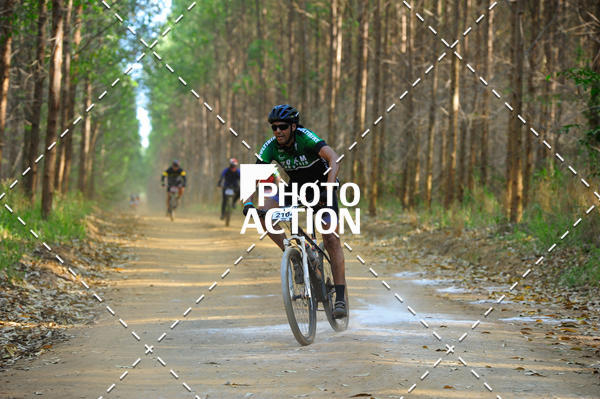 Buy your photos of the event16 Edio Maratona 100Km Canaviais on Fotop