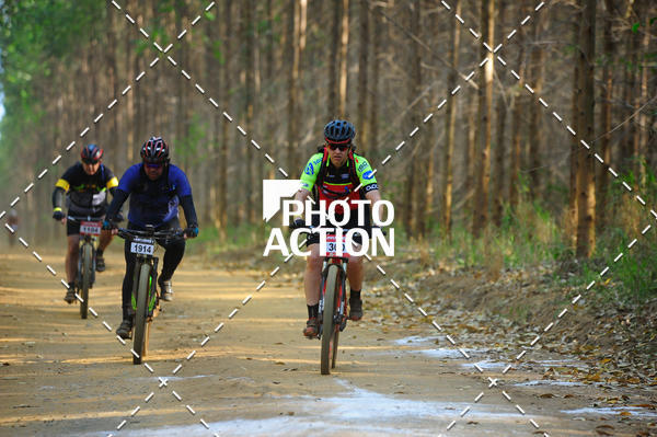 Buy your photos of the event16 Edio Maratona 100Km Canaviais on Fotop