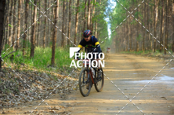 Buy your photos of the event16 Edio Maratona 100Km Canaviais on Fotop