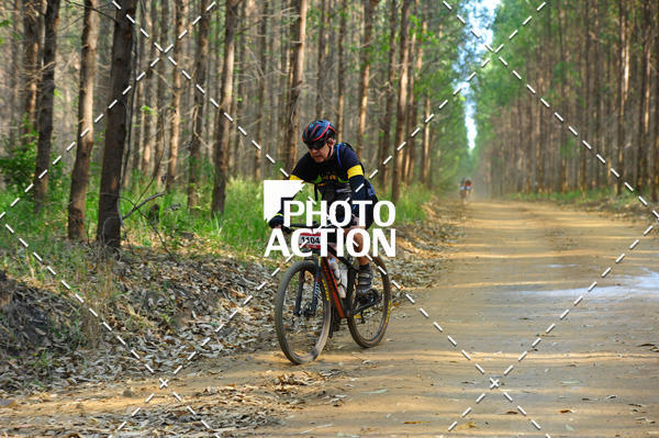 Buy your photos of the event16 Edio Maratona 100Km Canaviais on Fotop