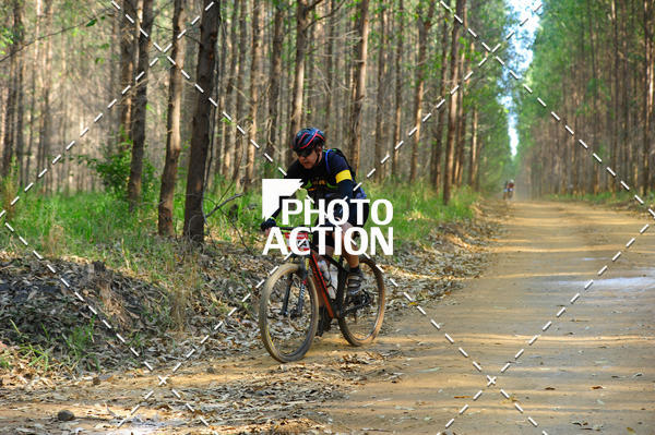 Buy your photos of the event16 Edio Maratona 100Km Canaviais on Fotop