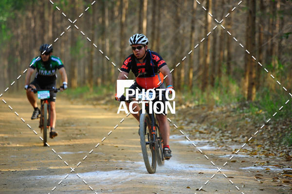 Buy your photos of the event16 Edio Maratona 100Km Canaviais on Fotop