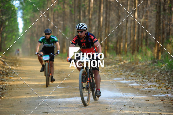 Buy your photos of the event16 Edio Maratona 100Km Canaviais on Fotop