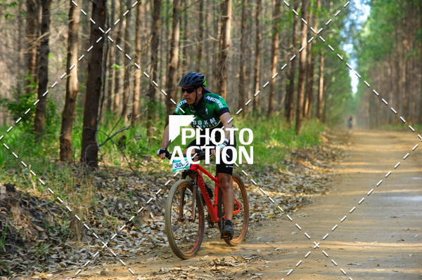 Buy your photos of the event16 Edio Maratona 100Km Canaviais on Fotop