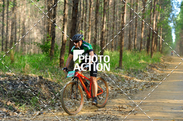 Buy your photos of the event16 Edio Maratona 100Km Canaviais on Fotop