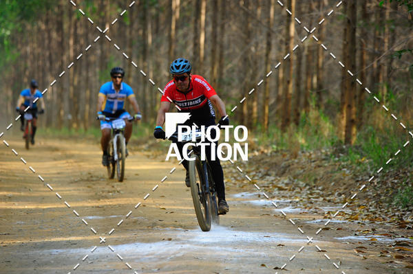 Buy your photos of the event16 Edio Maratona 100Km Canaviais on Fotop