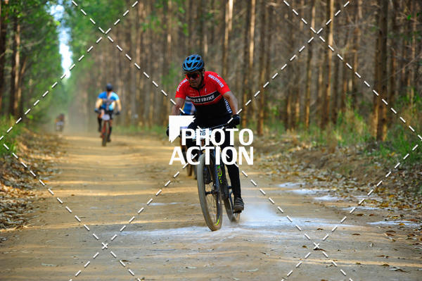 Buy your photos of the event16 Edio Maratona 100Km Canaviais on Fotop