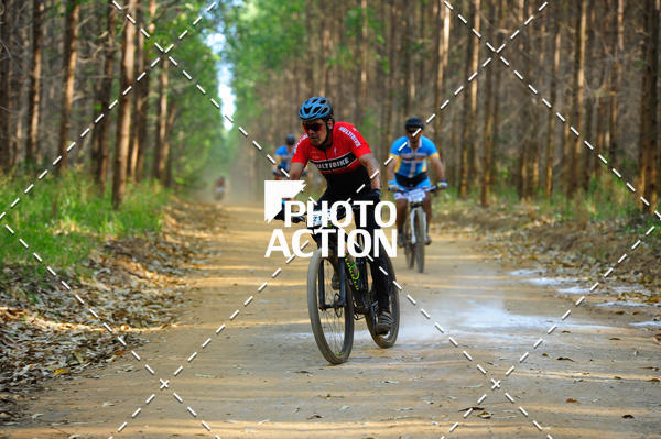 Buy your photos of the event16 Edio Maratona 100Km Canaviais on Fotop