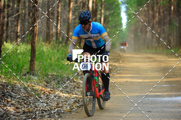 Buy your photos of the event16 Edio Maratona 100Km Canaviais on Fotop