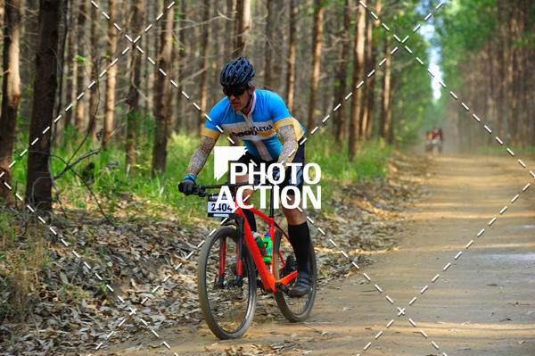 Buy your photos of the event16 Edio Maratona 100Km Canaviais on Fotop