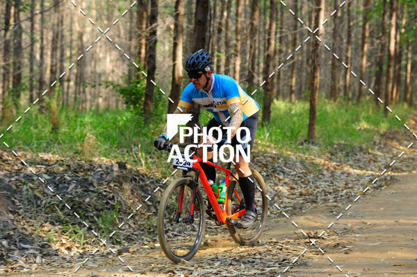 Buy your photos of the event16 Edio Maratona 100Km Canaviais on Fotop