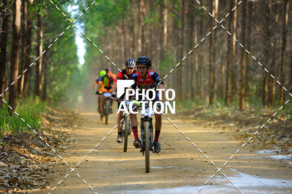 Buy your photos of the event16 Edio Maratona 100Km Canaviais on Fotop