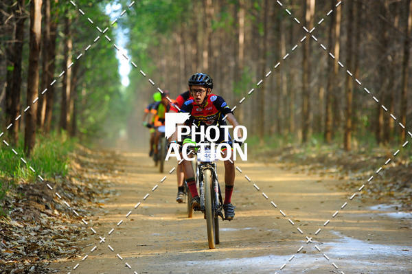 Buy your photos of the event16 Edio Maratona 100Km Canaviais on Fotop