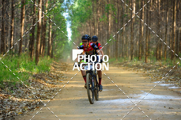 Buy your photos of the event16 Edio Maratona 100Km Canaviais on Fotop