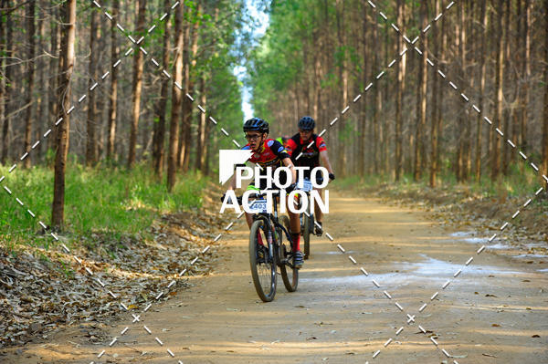 Buy your photos of the event16 Edio Maratona 100Km Canaviais on Fotop