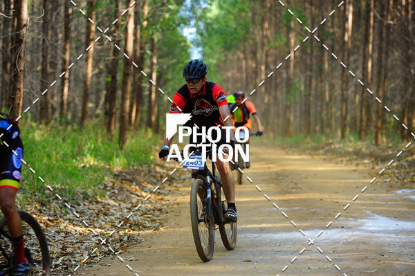 Buy your photos of the event16 Edio Maratona 100Km Canaviais on Fotop