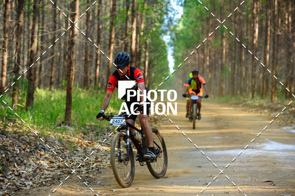 Buy your photos of the event16 Edio Maratona 100Km Canaviais on Fotop