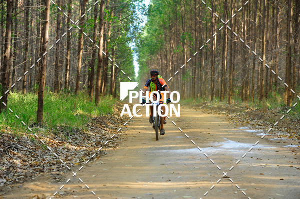 Buy your photos of the event16 Edio Maratona 100Km Canaviais on Fotop