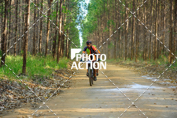 Buy your photos of the event16 Edio Maratona 100Km Canaviais on Fotop