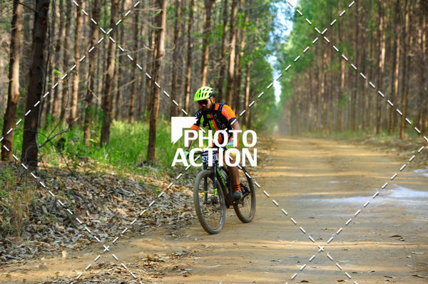 Buy your photos of the event16 Edio Maratona 100Km Canaviais on Fotop