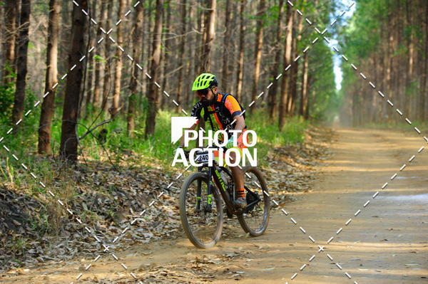 Buy your photos of the event16 Edio Maratona 100Km Canaviais on Fotop