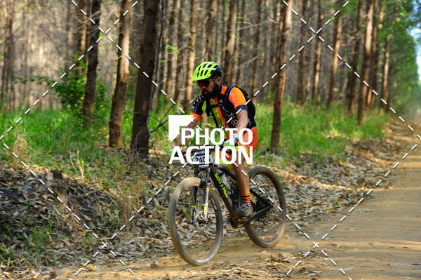 Buy your photos of the event16 Edio Maratona 100Km Canaviais on Fotop