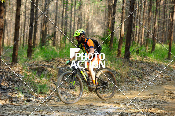 Buy your photos of the event16 Edio Maratona 100Km Canaviais on Fotop