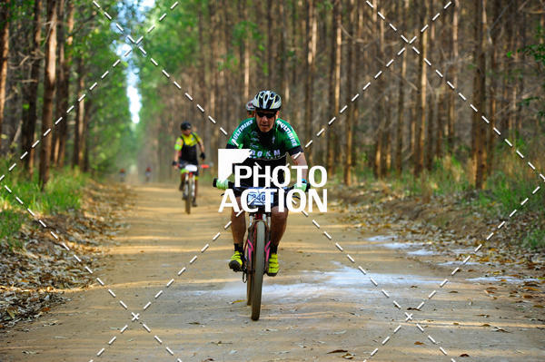 Buy your photos of the event16 Edio Maratona 100Km Canaviais on Fotop