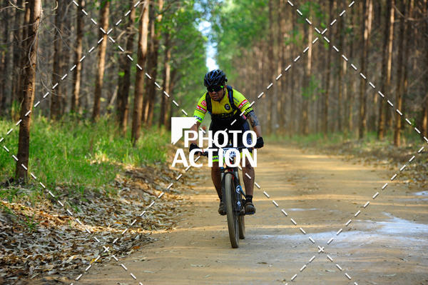 Buy your photos of the event16 Edio Maratona 100Km Canaviais on Fotop