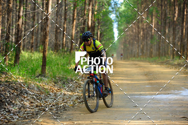 Buy your photos of the event16 Edio Maratona 100Km Canaviais on Fotop